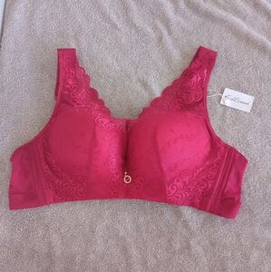 FallSweet Push Up Lace Bras for Women Sexy Plus Size Brassiere Comfort Underwear
